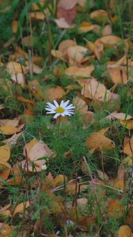 Ирина Гехт: В каждом регионе России есть то, чем по праву можно гордиться и что хочется показать другим