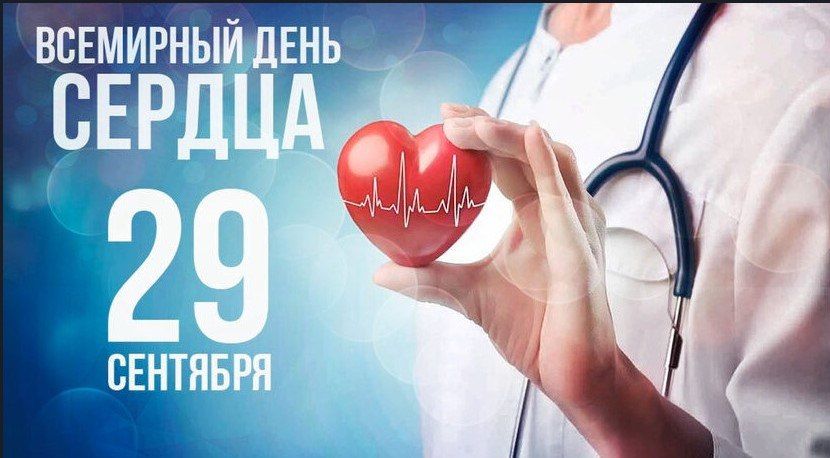 ������� 29 �������� 2025 ����, ����������� � ���������� 8 ����������