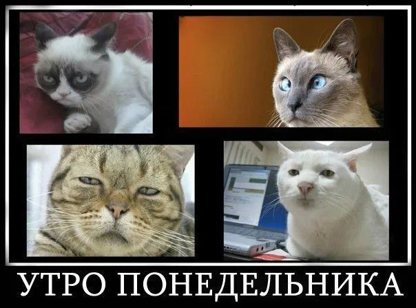 А выходные вообще были? Таким вопросом мы задаёмся каждый понедельник))