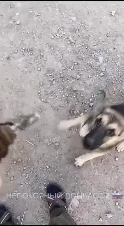 � �������������, ����������� �������!