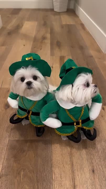 � ������� ������� ������!. ����� ����������� ������ ��������� ������ ��� ����� ������������ � ������ ����, � ������ ������� ���� ����������� ������������ � ��������������� �� ����������� ������! #������������������...