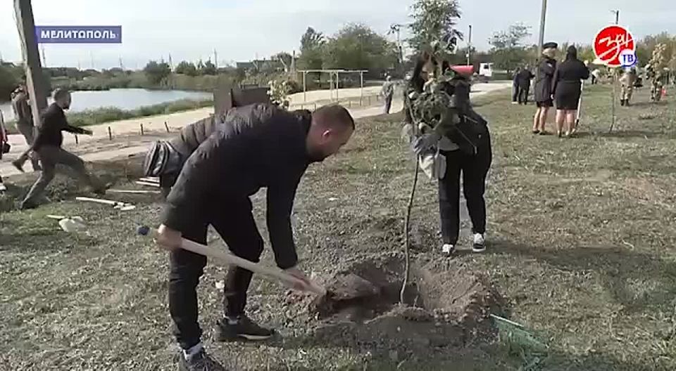 ����������� ������� �������� ���������� � ������� � ���������� ��� ������������� � �������