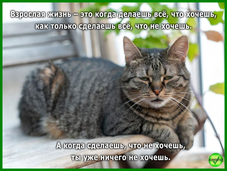 ���������������� ��������� � �������
