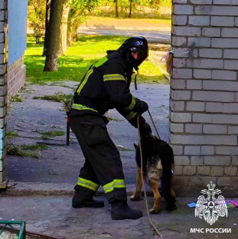 В Днепрорудном сотрудники МЧС России извлекли из глубокой ямы собаку