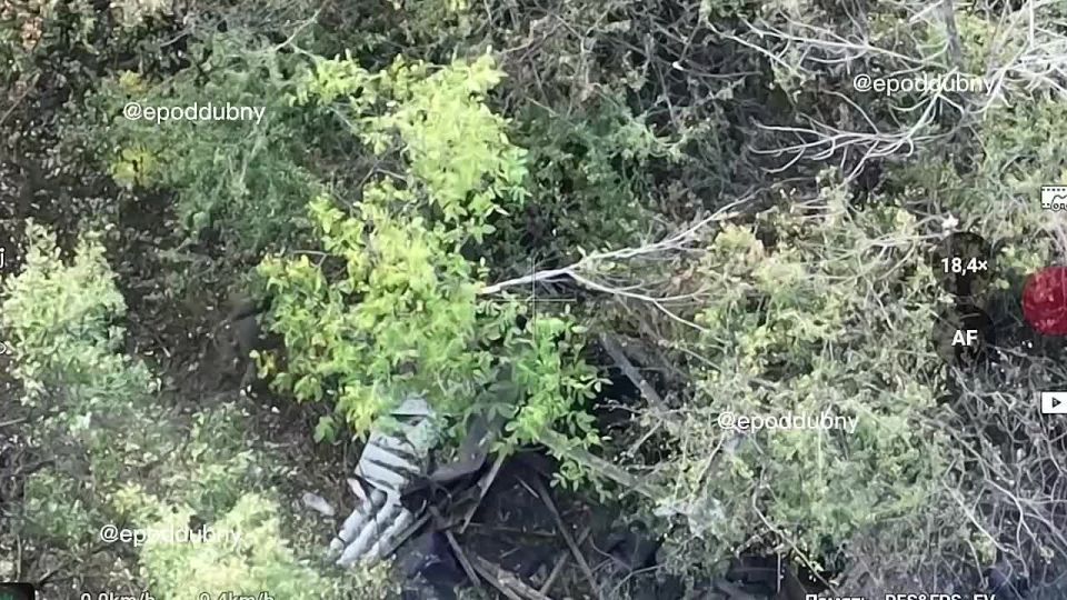 ������� ������ �� 51-� ����� ������� ��� �������� � ������ ����� �������