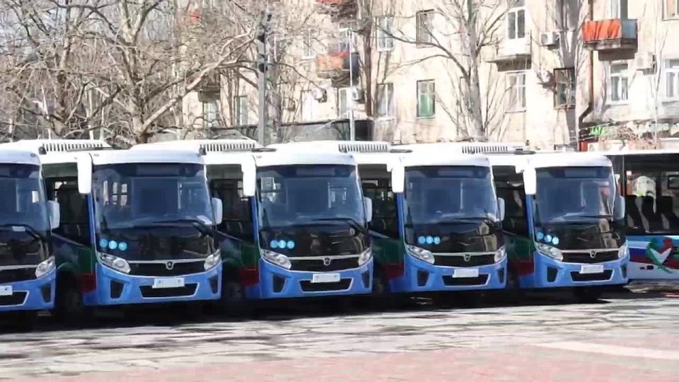  :      -      ,    ,          