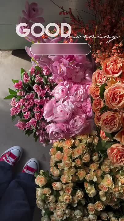 ������� ��� � ����������� ���������� ����� ����������