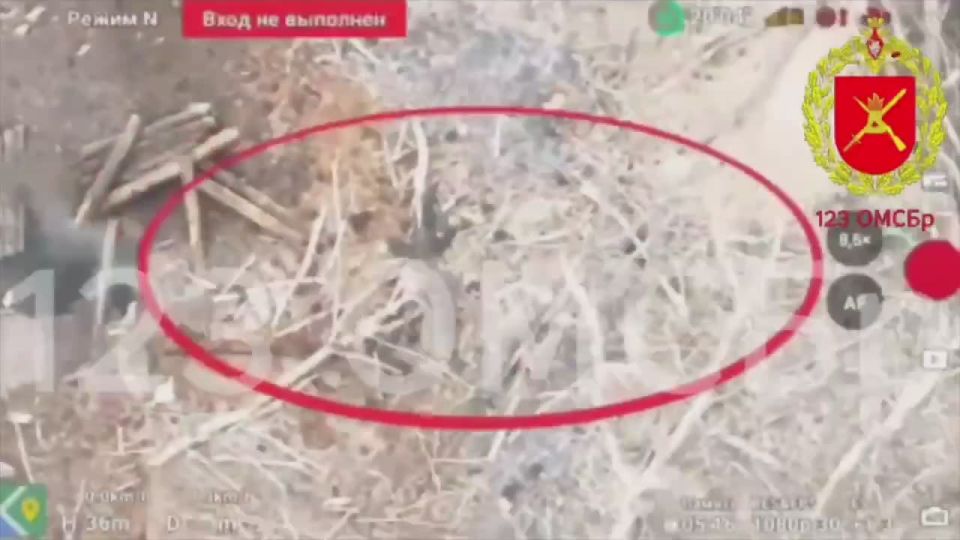 ��� ��������� ��������� ������� ���������� ������ � �����������