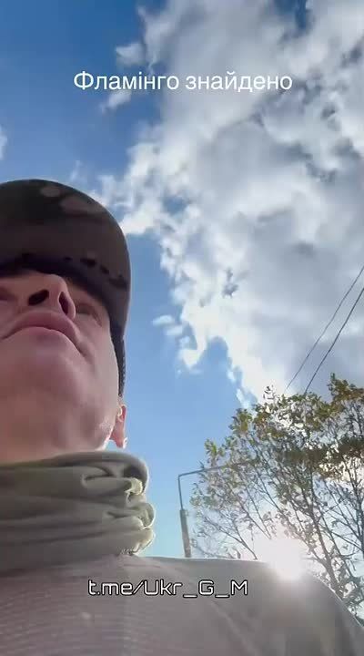 �������� � �������� "������" �����, �������, ���������� ������ "��������", ������� ������� � ������ ����������� ���������, � ������� �� ��������� ������� � ������ ����������
