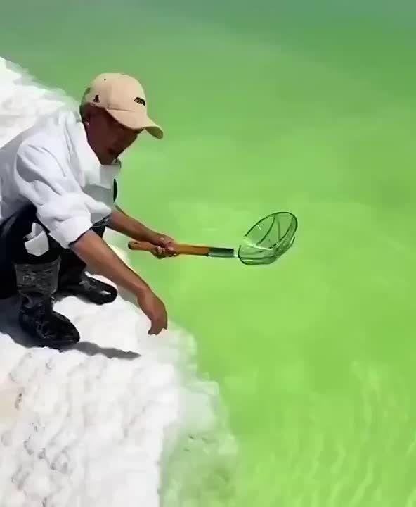 ������ ����, ������������!