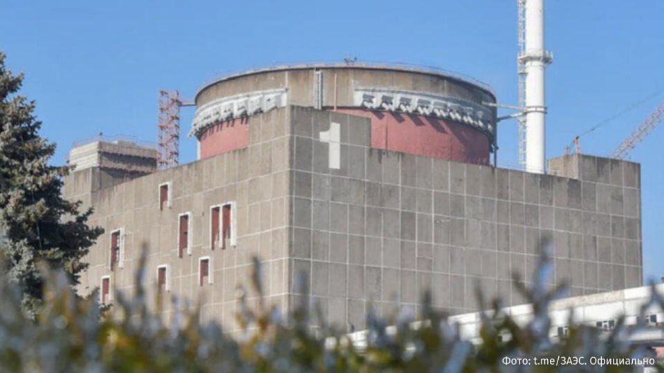 МАГАТЭ взаимодействует с Россией и Украиной для кратчайшего восстановления внешнего электроснабжения Запорожской АЭС, заявил директор агентства Рафаэль Гросси