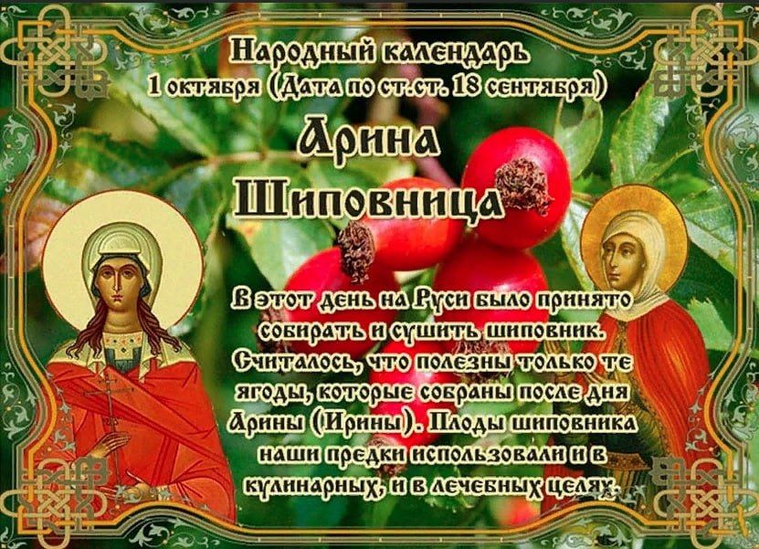 Народный календарь: Арина Шиповница