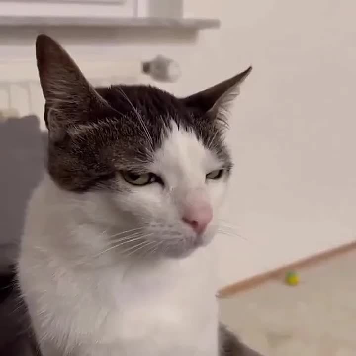 ����� � ��������� �������. ����� ������ ����, � �� �� ������ ����� ��� �����