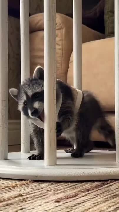 ������ ����, ������! �������� ��� ��� � ��������� ����������!