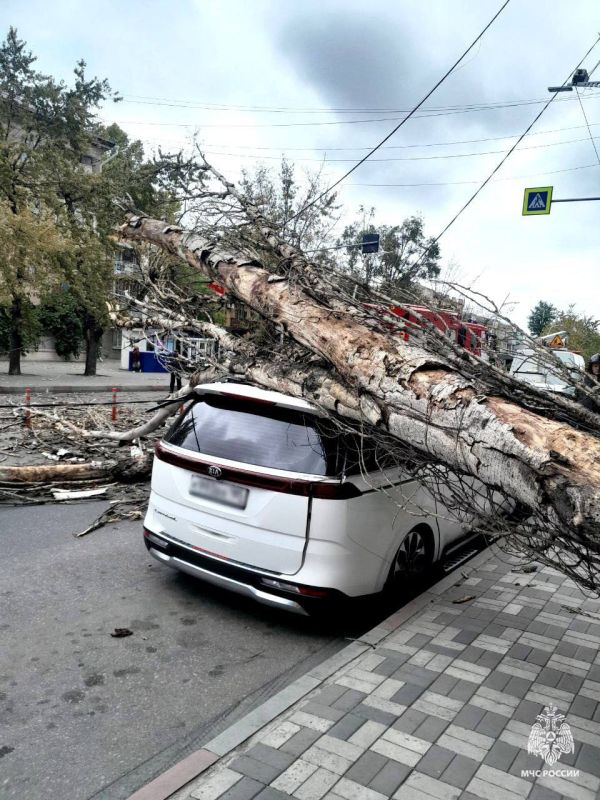 � ���������� ������ ����� �� ��������
