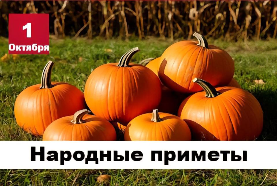 Народные приметы 1 октября