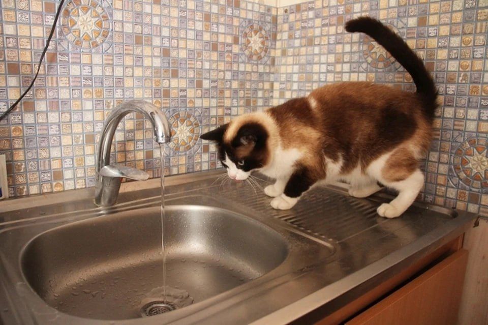 В Энергодаре устранили повреждения, из-за которых отключали воду