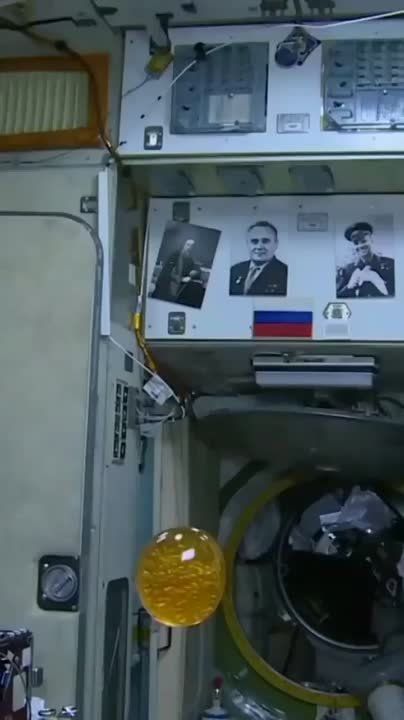 ������� ������������ ��� ����� ����