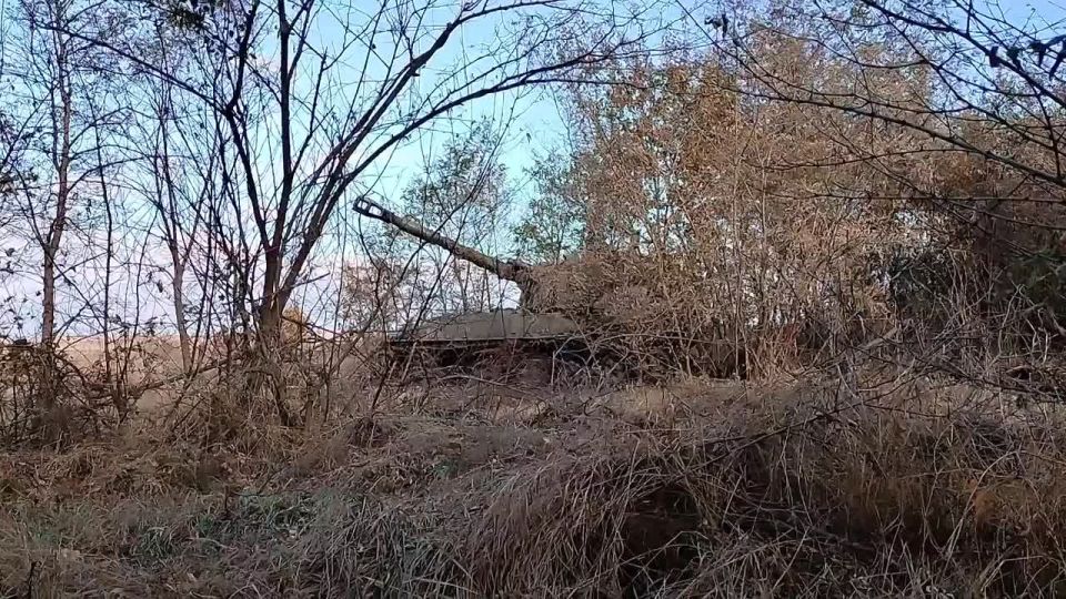 ������������ ����������� ����� ������� ���������� �������� ��� � ����������� �������