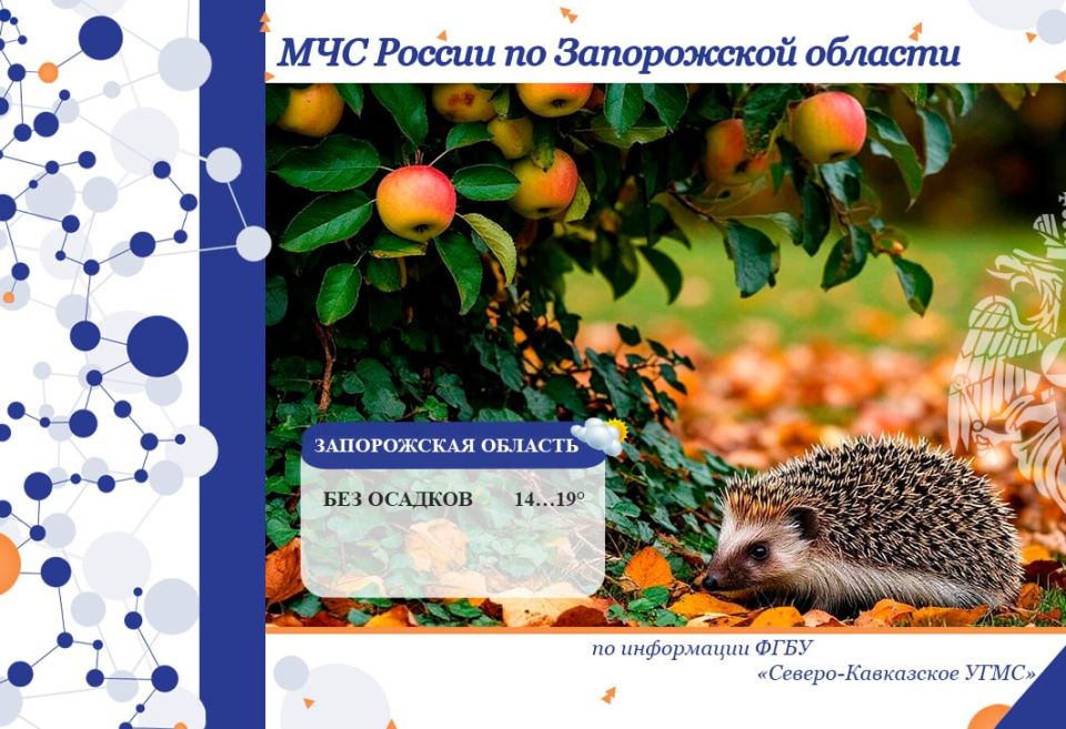 � 02 �� 03 ������� �� ���������� ������� ���������: