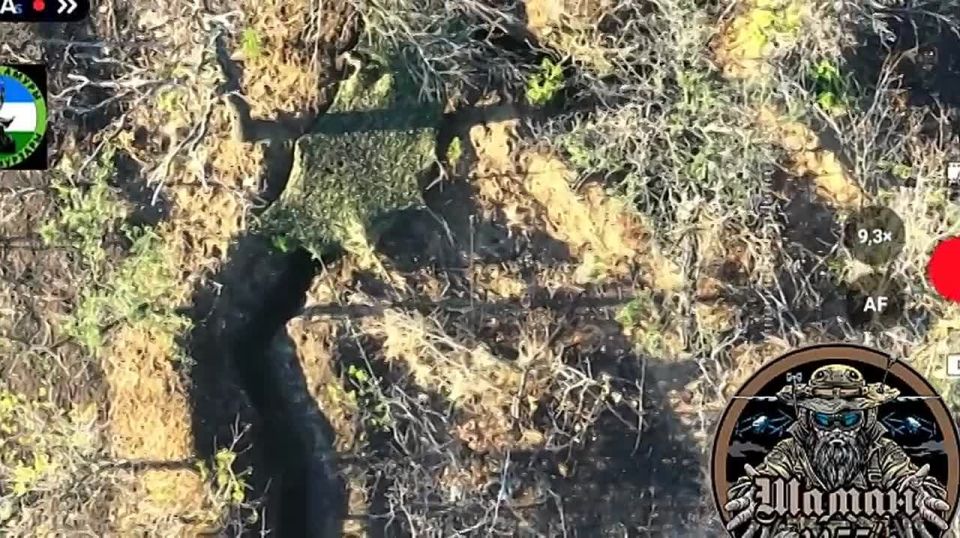 ��������� ������ ������������� "�����" 1455 ����� ���������� �������� ����� �� �������� ���������� �� ����������� �����������
