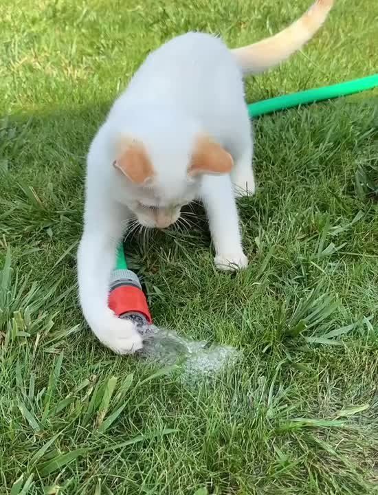 ��� � ����� ������� ����. ����� ������ � ������, � ���� �� ����� ����� �� ������
