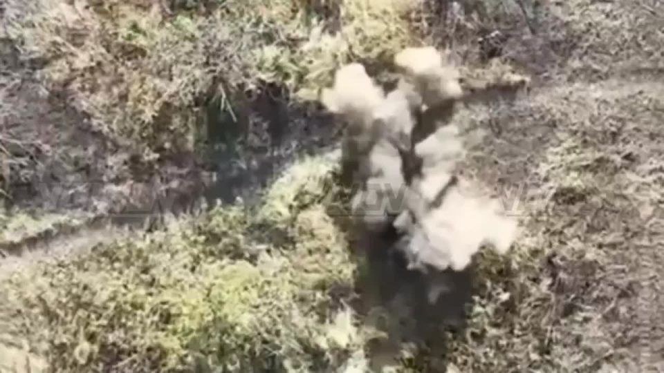 ����������� ������� 36 ����� ����������� ����� "������" �������� ��� �� �������� ��� ������ �� ���������� �����������