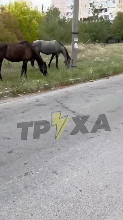 #������������_���������: ������� ���������� �������� ������������ � ������� � �� ������ ������� ����������� �������, ��� � ���������������� ����� ������ ����������� ���� ��� �������� ��������