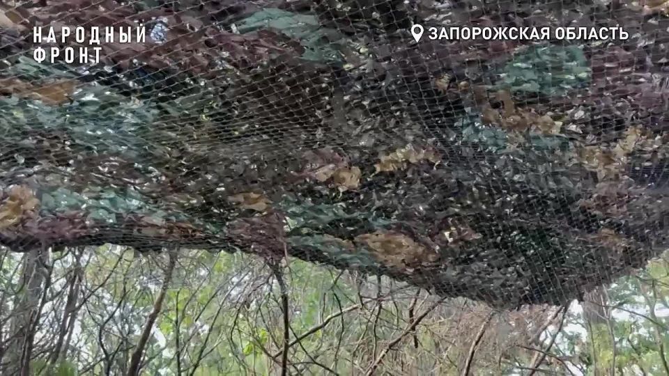 ������������� � ���������. ������� �������� �� ���� ������� �� �������� � �������