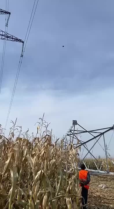 "��������" �������� �� ���� � ������� �������