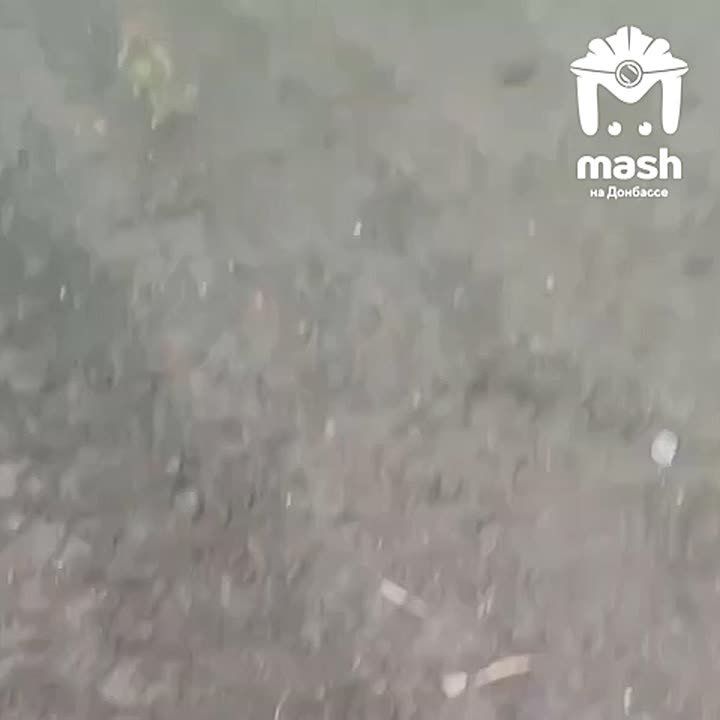 ����������� ������ ����������� �� �������������� ���������� ������� � ����������� �������
