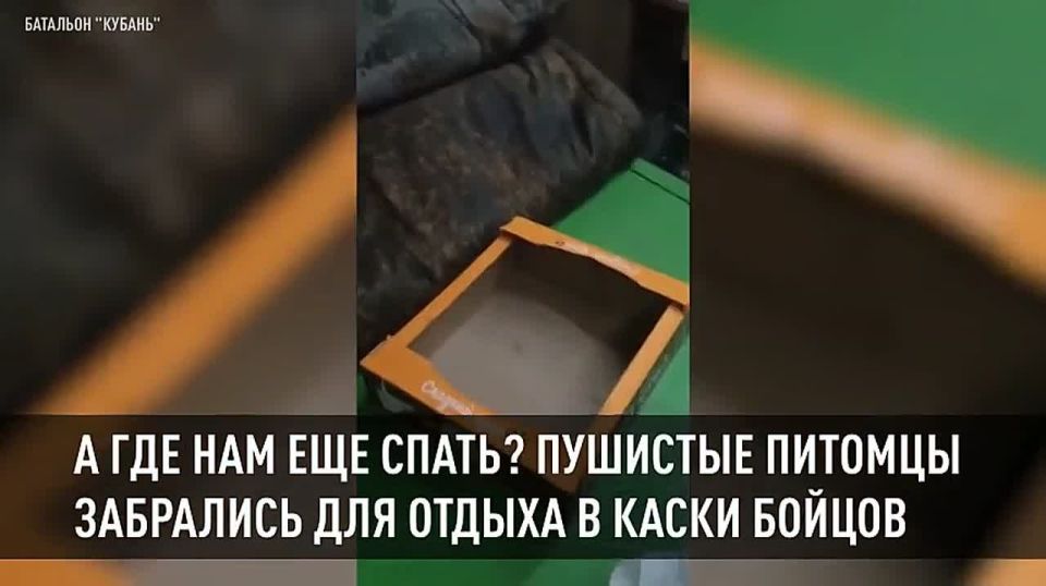 ������������ �������� ����� ������, ��� ��� ���������, ������������ � ������ ����� ������