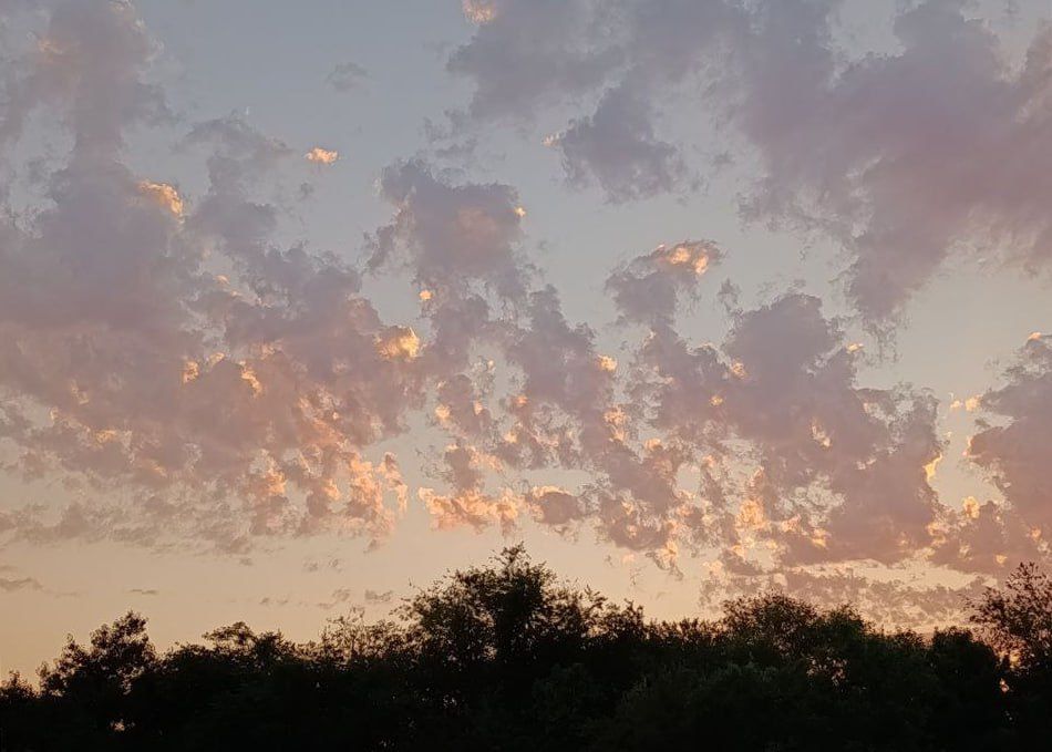 С добрым утром, с наступившим днём!