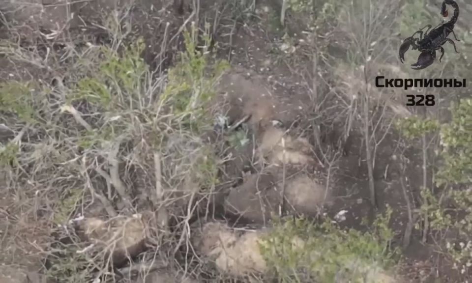 Расчеты БПЛА самолетного типа 328 гв дшп продолжают наносить поражение силам противника на Ореховском направлении