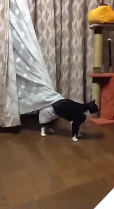 ������� ��������� ���������