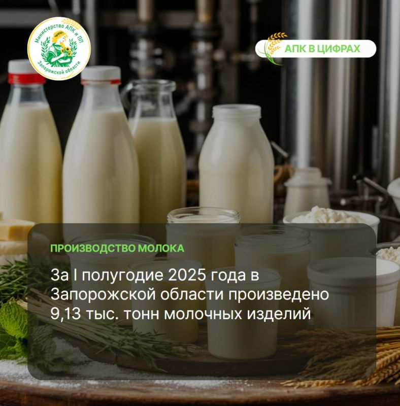 #����������. ������������ ��� � ����������������� �������� ����������� �������