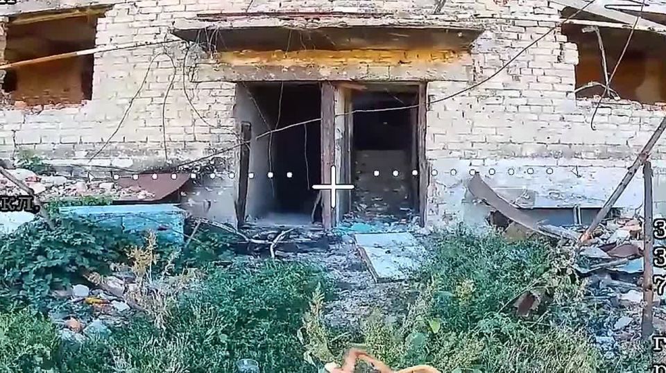 ���� ���������� ����� �� ����������� �����������