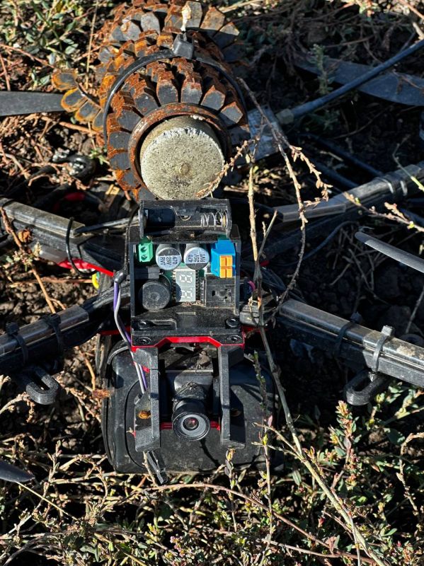 ���� �� ����� FPV-������ ����������