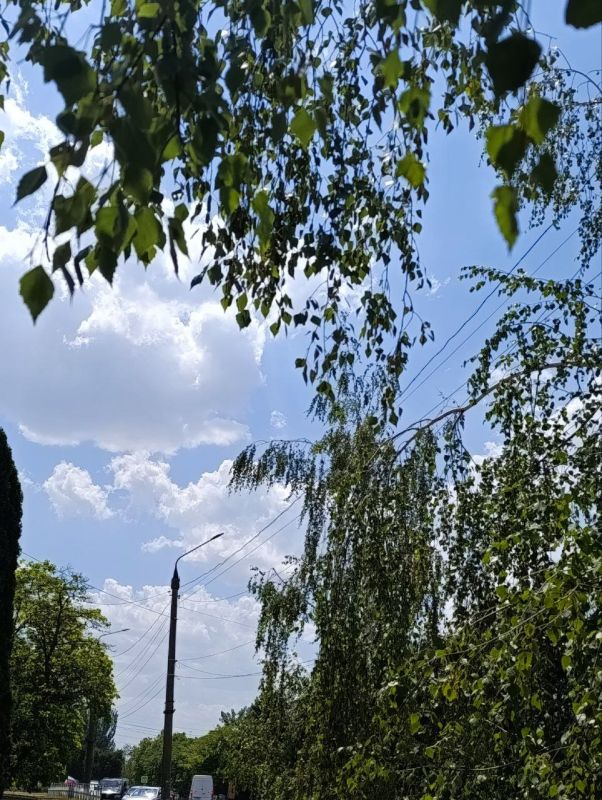 С добрым утром! Пусть твое настроение расцветет красивым букетом эмоций, а новый день подарит множество поводов для радости