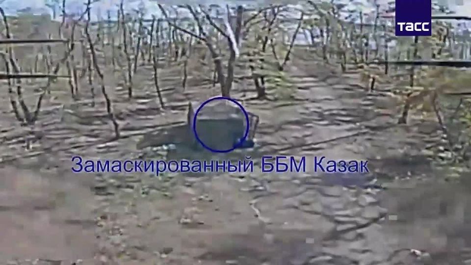 ����� ����� ����������� ����� ���������� ��� "�����" � ������� ������� ��� � ������ ������-�������� �������������