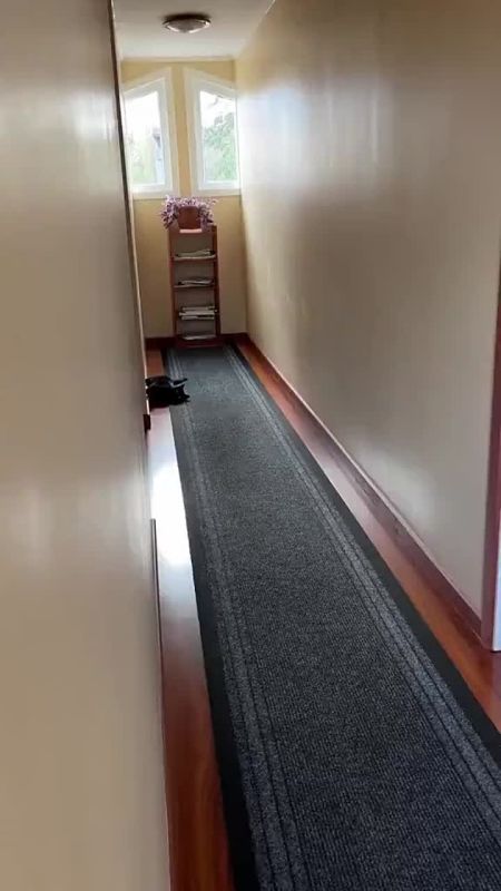 �������� �������� ���� ����