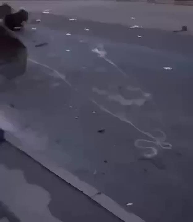 �������������� FPV-���� ������� �������� ������� ��� � �����������