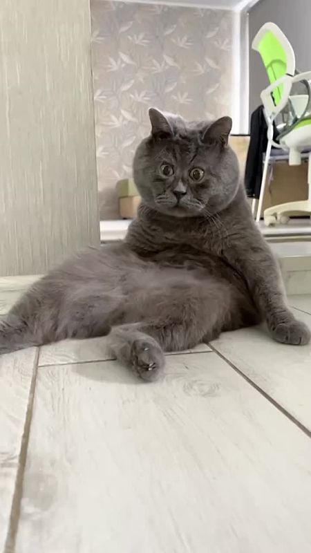 � � ������ ��� ����� �����������?