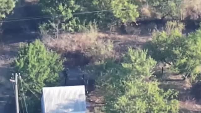 �� ����������� ����������� ���������� ������� ���������� ������ ���