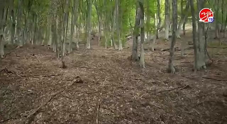 Школьники Мелитополя прошли маршрутом партизан Великой Отечественной войны