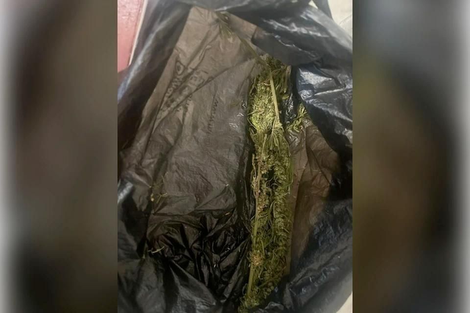 � ����������� ������� � ���������� ������ 34 ������ ����������