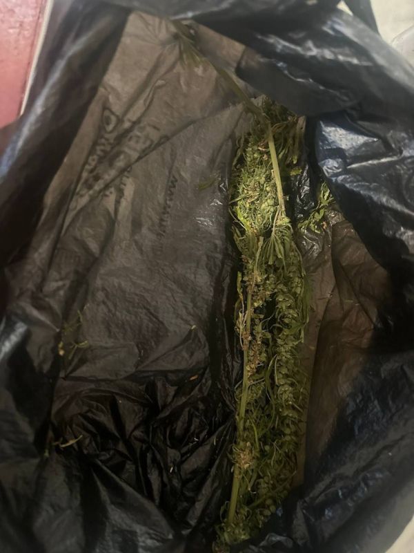 � �������������� ������ ����������� ������ ����������� ��������