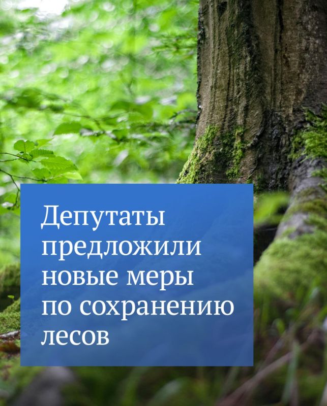 �� ������������ ������� ��������� ������������, ������� ��������� �� ������������ � ���������� ���������� ����������� �� ��������������