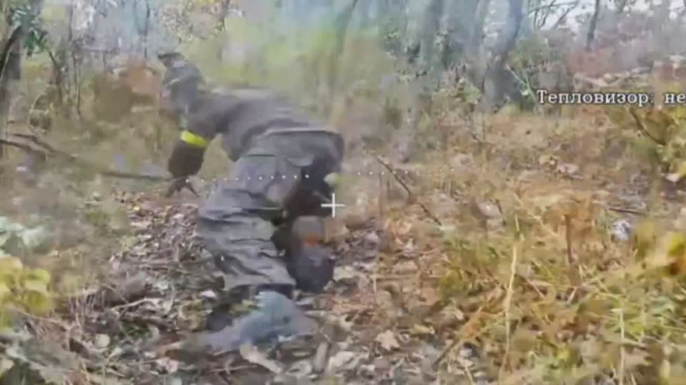 Военнослужащий ВСУ попал под удар российского дрона-камикадзе на оптоволокне