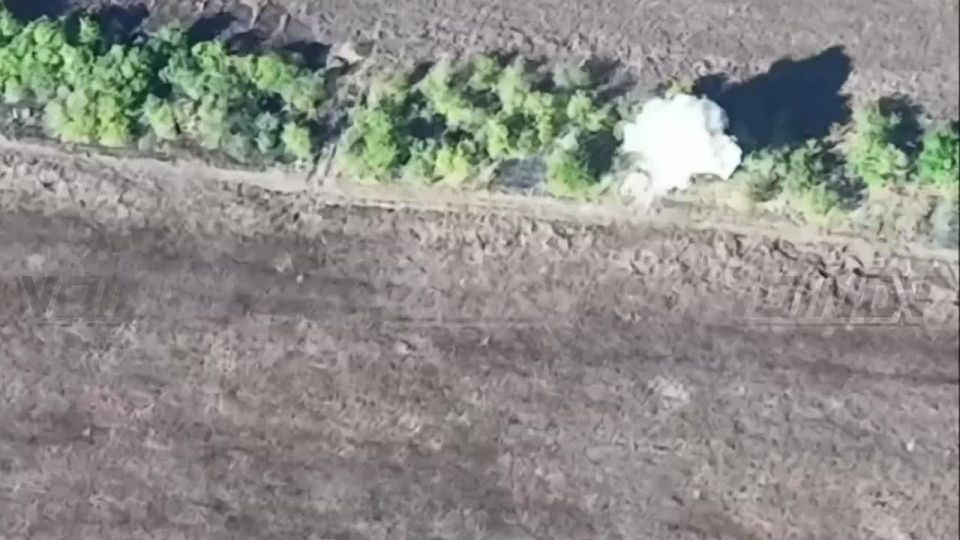 ������ ������ ���������� ���� 36 ����� ����������� ����� "������" �� ����������� ����� ���� ���������� �� ���������� �����������